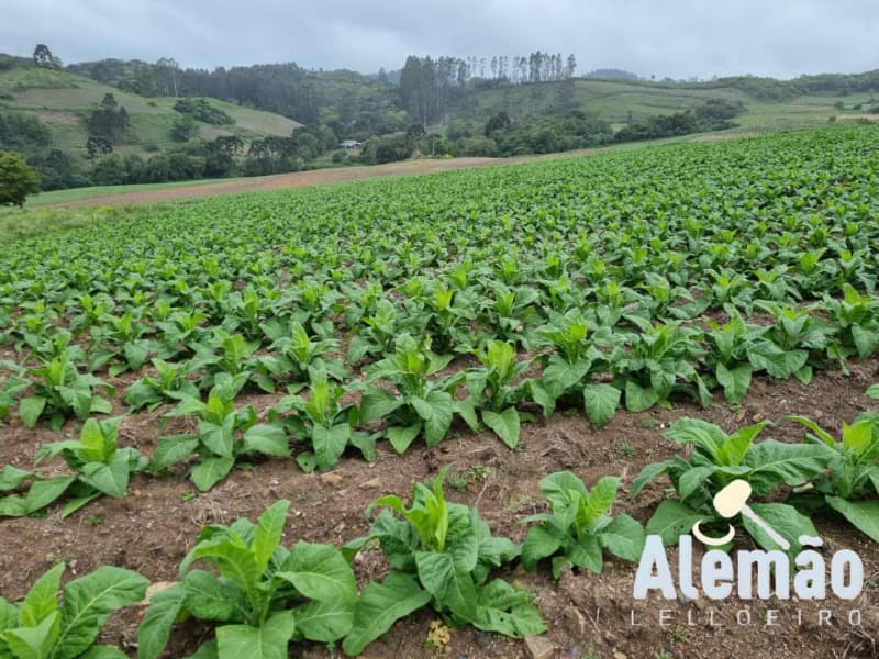 Uma parte de terras ruais, constituída de parte do lote n.º 09, situado no lugar - leilão extrajudicial - Barros Cassal/RS RS - lance mínimo R$ 533.314