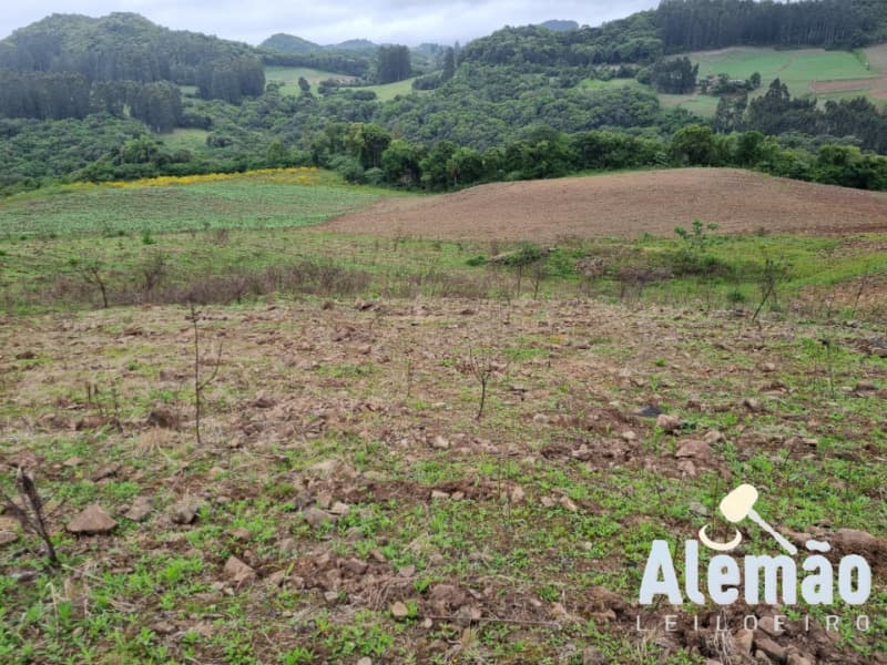 Uma parte de terras rurais, constituída de parte do lote rural n.º 12 e parte ru - leilão extrajudicial - Barros Cassal/RS RS - lance mínimo R$ 373.533