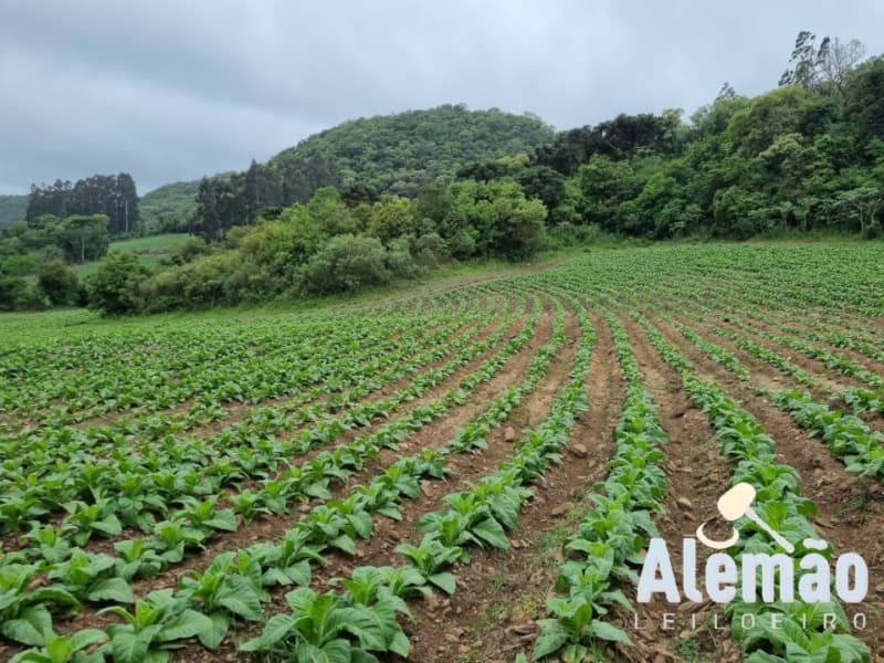 Uma parte de terras rurais, constituída de parte do lote rural n.º 19 e parte do - leilão extrajudicial - Barros Cassal/RS RS - lance mínimo R$ 244.785