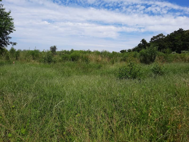 Uma Fração de Terras de Cultura, sem benfeitorias, com a área superficial de 65. - leilão extrajudicial - Tunas/RS RS - lance mínimo R$ 141.935