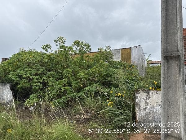 Casa CEARÁ-MIRIM RN - leilão extrajudicial - CEARÁ-MIRIM RN - lance mínimo R$ 20.332