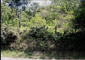 Terreno urbano com 14.237,63m² - Jardim Rodeio - (02) MOGI DAS CRUZES SP - leilão judicial - MOGI DAS CRUZES SP - lance mínimo R$ 3.751.009