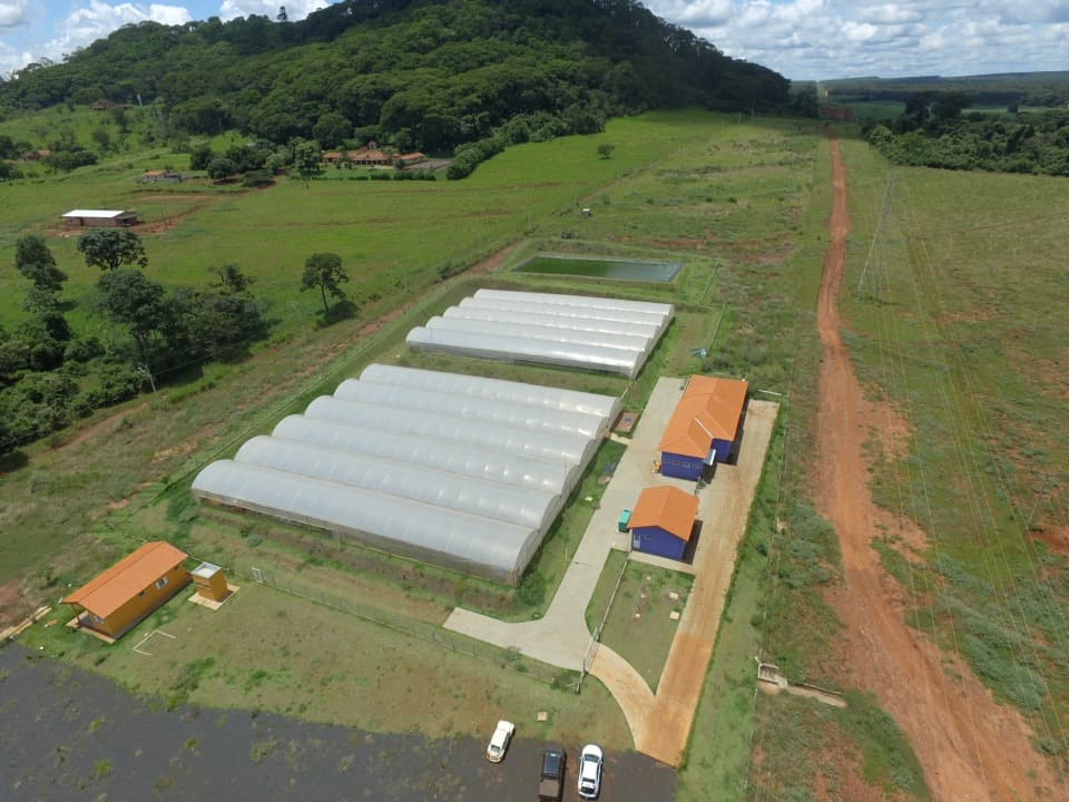 Área Rural contendo edificações com 13,28 ha - Zona Rural SÃO SIMÃO SP - leilão extrajudicial - SÃO SIMÃO SP - lance mínimo R$ 2.490.000