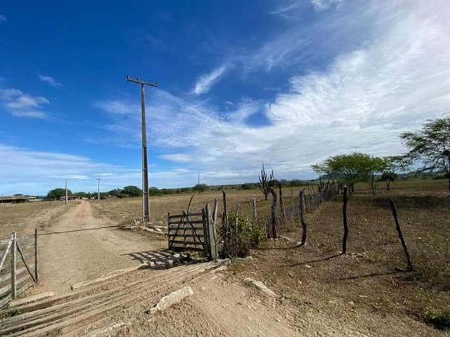 LUCIANO RESENDE RODRIGUES JUCEPE 315/98 - Não informado BR - avaliação R$ 1.900.000