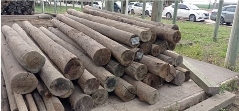 35 (TRINTA E CINCO) PEÇAS DE MADEIRA TRATADA COM 22 A 24 CM DE DIÂMETRO E 4,00M DE COMPRIM - leilão judicial - Não informado BR - lance mínimo R$ 9.975