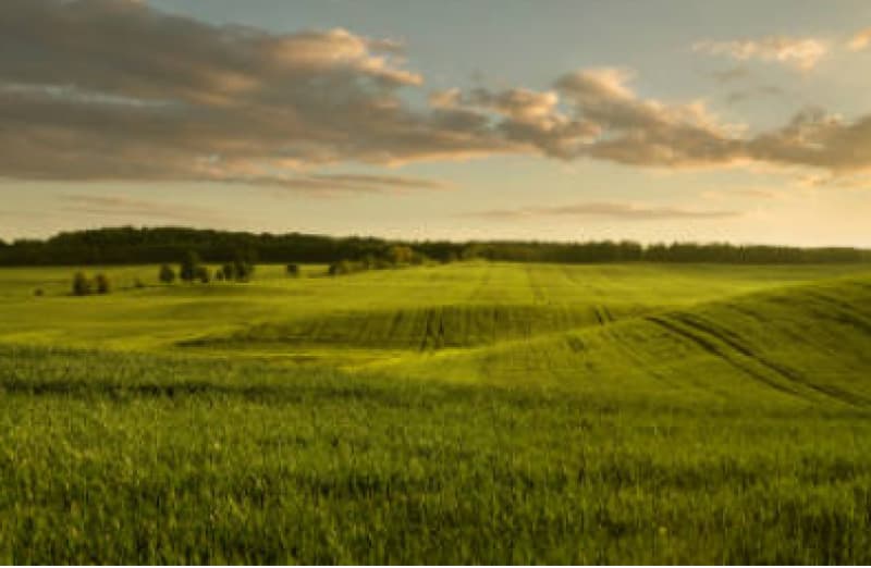 FRAÇÃO IDEAL DE 16,66% DE UM IMÓVEL RURAL DENOMINADO “SANTA MARIA”, COM 07,26,00 HECTARES - leilão judicial - Leopoldina MG - lance mínimo R$ 13.328
