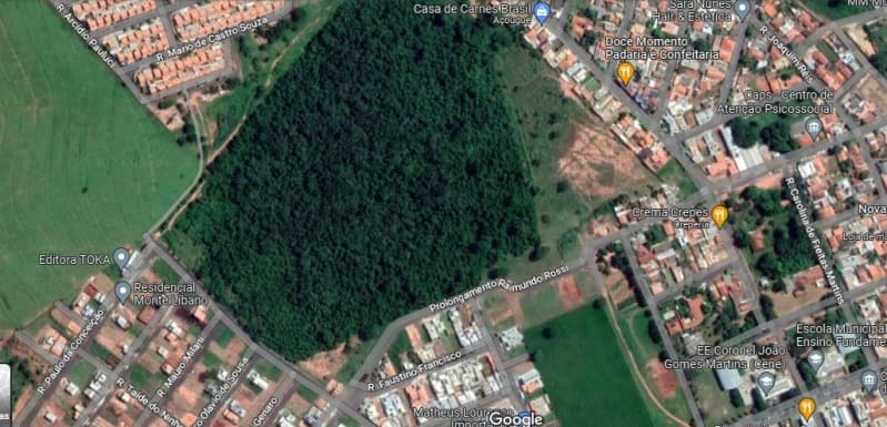 Imóvel rural com 2,067 alqueires, contendo 6 barracões, casa de madeira, Chácara Apoena - leilão judicial - Martinópolis SP - lance mínimo R$ 2.216.860