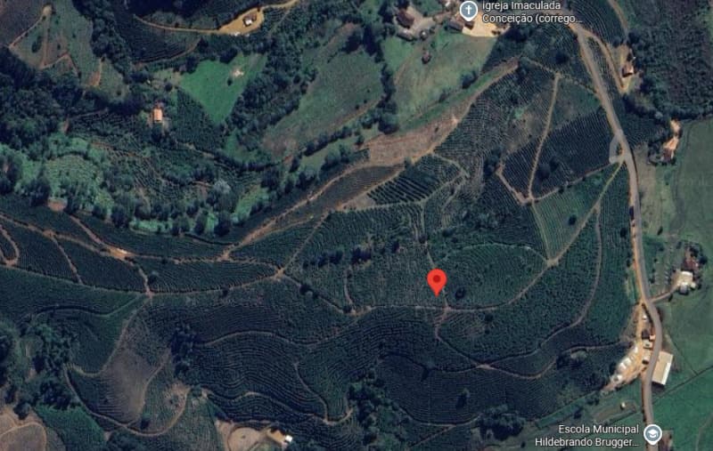 TERRENO RURAL DE 5 ALQUEIRES EM SIMONÉSIA/MG COM PLANTAÇÃO DE CAFÉ - leilão judicial - Simonésia MG - lance mínimo R$ 415.000