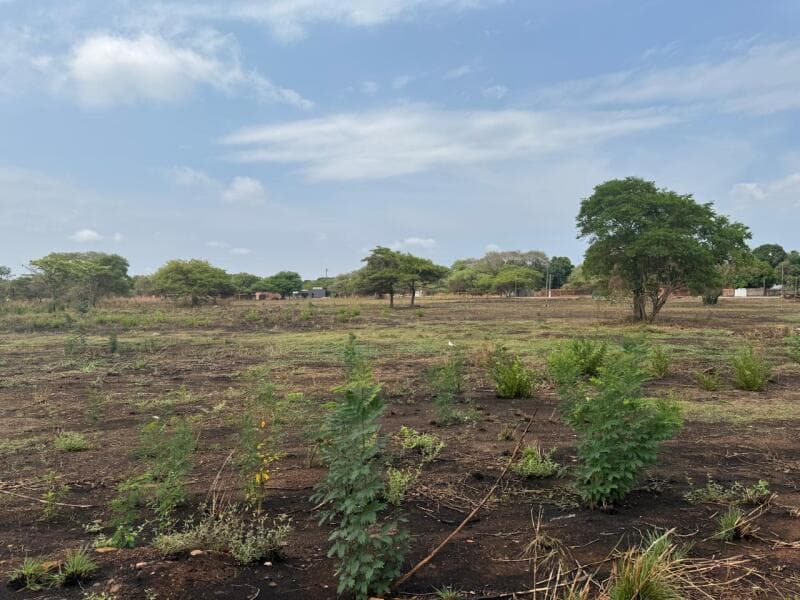 Lote nº 12 da Quadra nº 46, com área de 395,46 m², o qual está matriculado sob o - leilão extrajudicial - Araguacema/TO TO - lance mínimo R$ 31.637