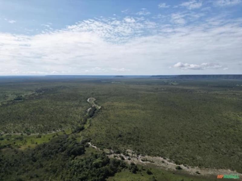 Imóvel Denominado FAzenda Grabriel lote n° 10, do loteamento "JALAPÃO" - GLEBA-5 - leilão extrajudicial - São Félix do Tocantins/TO TO - lance mínimo R$ 183.600