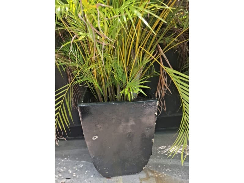 LOTE 081 - Não informado BR - lance mínimo R$ 400