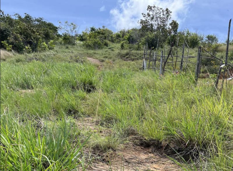 Lotes n. 02, 03, 04, 05, 15, 16, 17 da quadra 26, Praia de Catuama, Goiana/PE - leilão judicial - Goiana PE - lance mínimo R$ 343.000