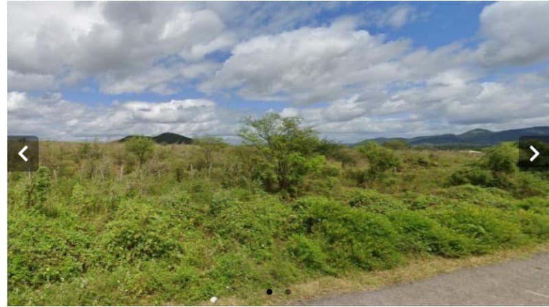 Sítio c/ 60ha., "Sítio Lage", Canapi/AL - leilão judicial - Canapi AL - lance mínimo R$ 345.000