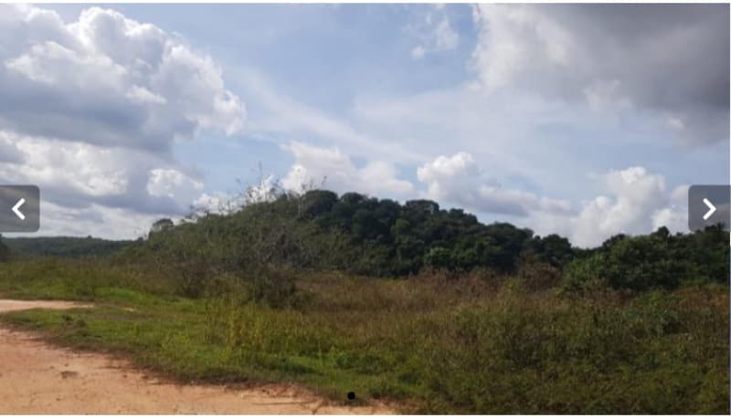 Sítio c/ 14ha., lote nº 531, do Núcleo Colonial São Bento, da 7ª Gleba, Belford Roxo/RJ - - leilão judicial - Belford Roxo RJ - lance mínimo R$ 321.444