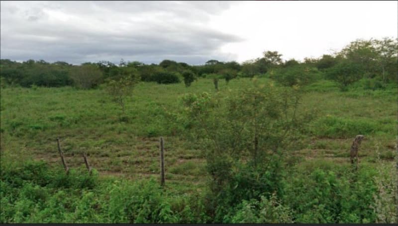 UMA PARTE DE TERRA COM ÁREA DE 132 HA, ENCRAVADA NO SÍTIO SANTA MARIA, ITAIBA/PE. - leilão judicial - Itaíba PE - lance mínimo R$ 330.000