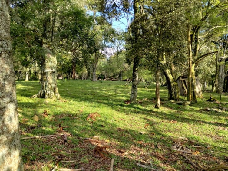 Terreno Rural com área de 92.529,23m2, situado na Linha Castelli, lugar denomina - leilão judicial - Caçador/SC SC - lance mínimo R$ 325.000