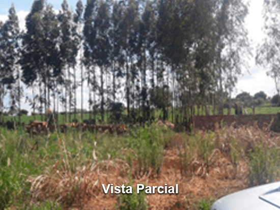 Terreno - São Miguel do Iguaçu - PR - Terreno Urbano,Comercial,Residencial - São Miguel do Iguaçu/PR. Chácara situada na localidade denominada Balneário Ipiranga com área superficial de 746,00m², melhor descrito(a), confrontado(a) e caracterizado(a) em matrícula. Matrícula 26.541 do RI local. - leilão extrajudicial - Não informado BR - lance mínimo R$ 30.000