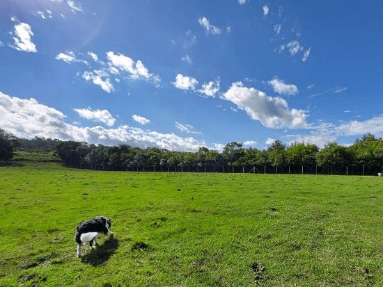 Terreno - Presidente Lucena - RS - Terreno Rural - Presidente Lucena/RS. Uma Áreas de terras com área superficial de 36.391 ,76m², situado no lugar denominado Linha Nova Baixa, melhor descrito, confrontado e caracterizado em matrícula. INCRA 816.108.043.826-8 (área maior). Matrícula 9.825 (CNM 101915.2.0009825-59) do RI de Ivoti/RS. - Não informado BR - lance mínimo R$ 2.190.913