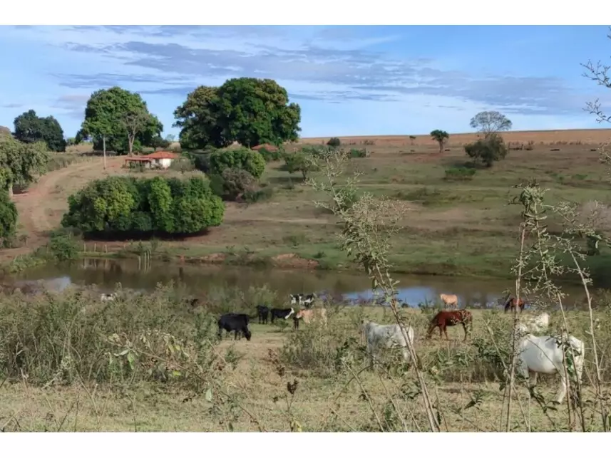 Área Rural à venda em leilão - leilão judicial - Itaju SP - lance mínimo R$ 2.655.292