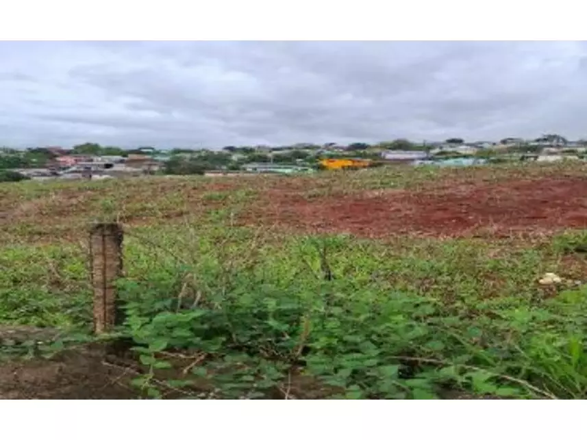 Terrenos à venda em leilão - leilão extrajudicial - Palmeira das Missões RS - lance mínimo R$ 905.883