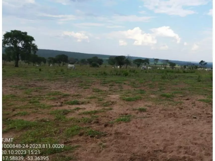 Área Rural à venda em leilão - leilão judicial - Alto Araguaia MT - lance mínimo R$ 1.153.828