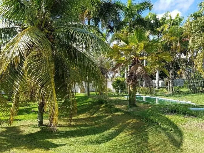 Casa à venda em leilão - leilão extrajudicial - Nísia Floresta RN - lance mínimo R$ 481.000