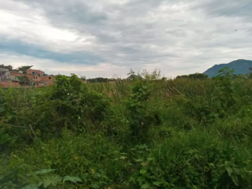 Terreno à venda em leilão - leilão extrajudicial - Rio de Janeiro RJ - lance mínimo R$ 4.900.000