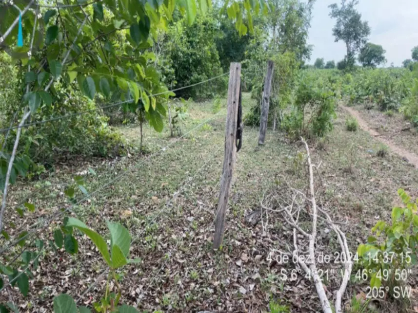 Fazenda à venda em leilão - leilão extrajudicial - Lajeado Novo MA - lance mínimo R$ 955.675