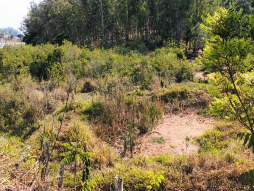 Fazenda à venda em leilão - leilão extrajudicial - Monte Belo MG - lance mínimo R$ 103.000