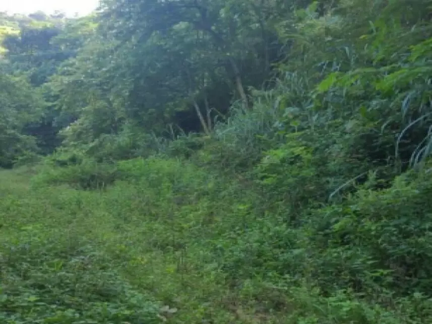 Terreno à venda em leilão - leilão extrajudicial - Rio de Janeiro RJ - lance mínimo R$ 888.150