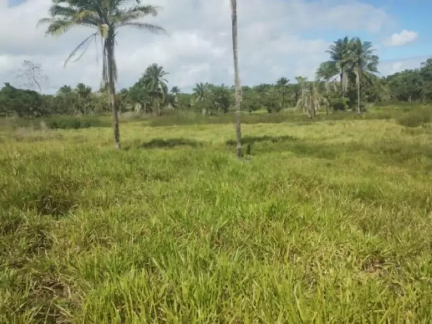 Terreno à venda em leilão - leilão extrajudicial - Salinas da Margarida BA - lance mínimo R$ 60.000