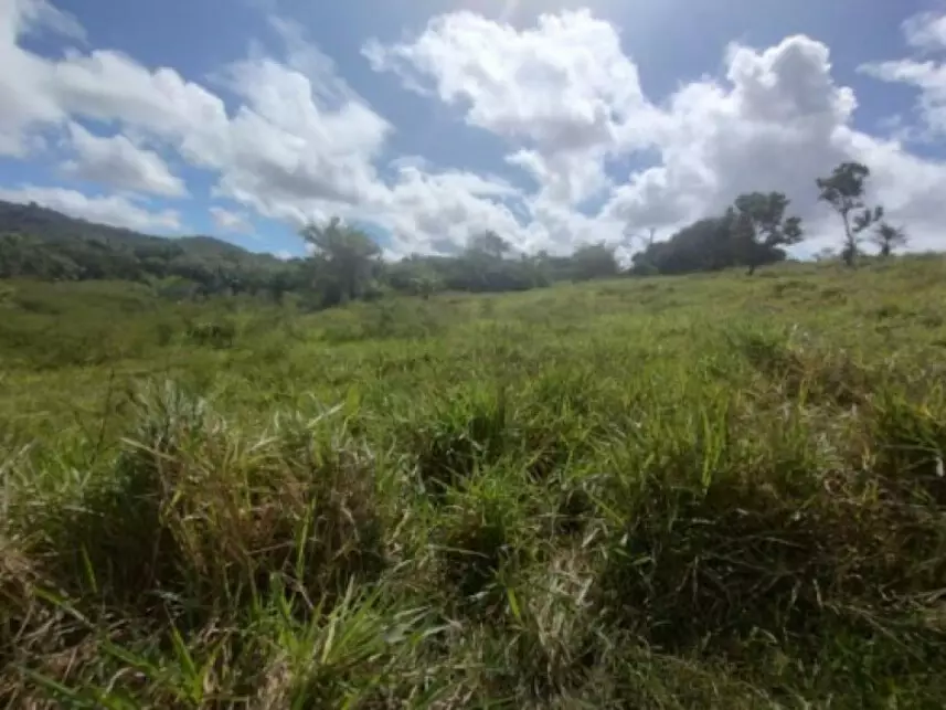 Terreno à venda em leilão - leilão extrajudicial - Salinas da Margarida BA - lance mínimo R$ 60.000