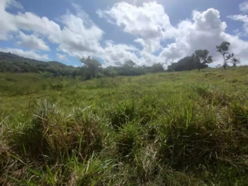 Terreno à venda em leilão - leilão extrajudicial - Salinas da Margarida BA - lance mínimo R$ 60.000