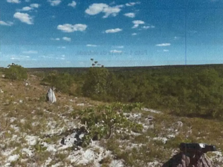 Fazenda à venda em leilão - leilão extrajudicial - São Romão MG - lance mínimo R$ 336.000