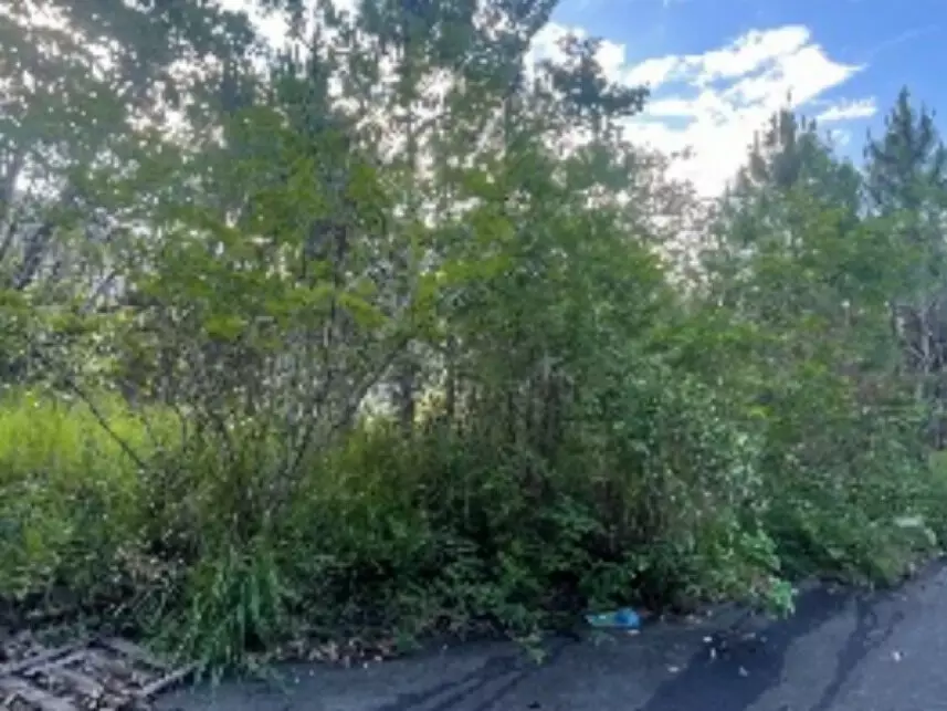 Fazenda à venda em leilão - leilão extrajudicial - Itajaí SC - lance mínimo R$ 136.693