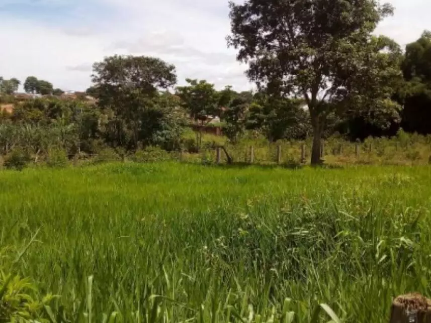 Terreno à venda em leilão - leilão extrajudicial - Jaraguá GO - lance mínimo R$ 1.655.400