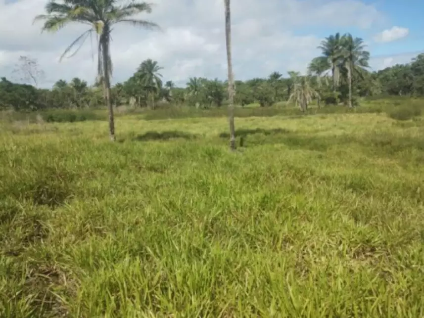 Terreno à venda em leilão - leilão extrajudicial - Salinas da Margarida BA - lance mínimo R$ 60.000