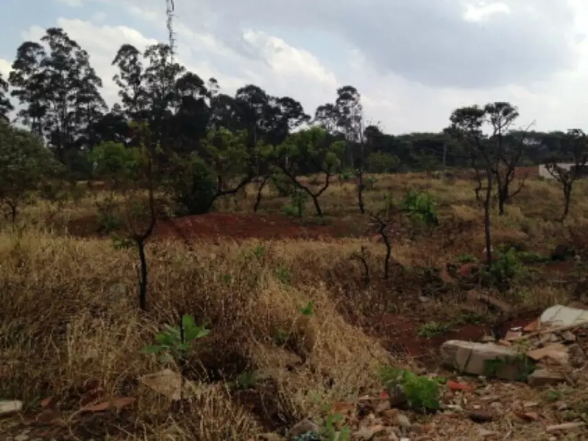 Terreno à venda em leilão - leilão extrajudicial - Araguari MG - lance mínimo R$ 381.000