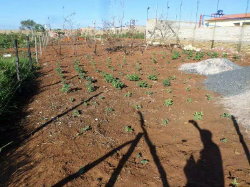 Terreno à venda em leilão - leilão extrajudicial - Alexânia GO - lance mínimo R$ 256.000