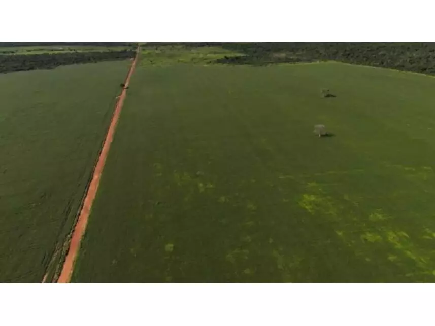 Área Rural à venda em leilão - leilão extrajudicial - Vila Rica MT - lance mínimo R$ 11.465.816