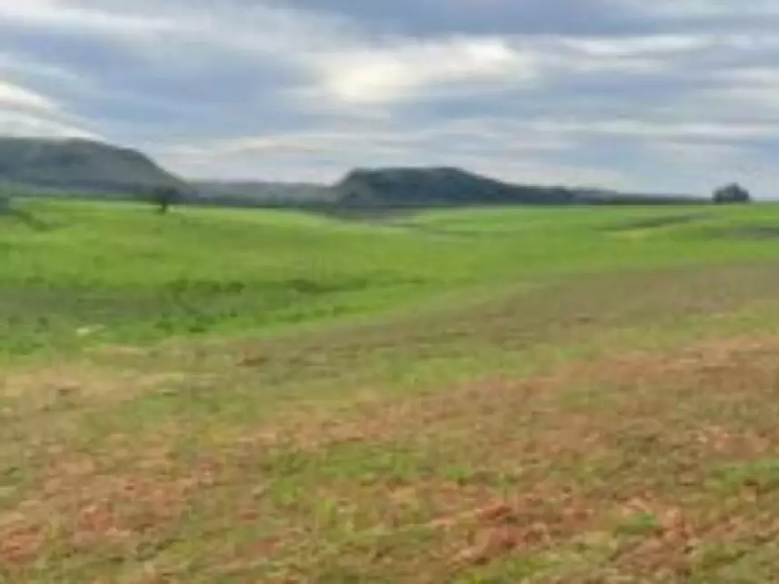 Chácara à venda em leilão - leilão extrajudicial - Rosário do Sul RS - lance mínimo R$ 1.213.864