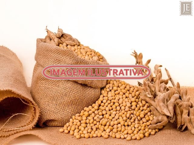 500 (quinhentas) sacas de soja - leilão judicial - Não informado BR - lance mínimo R$ 27.150
